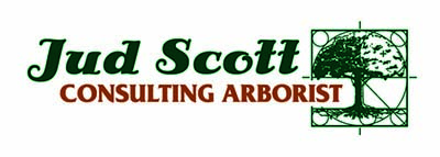 Jud Scott Consulting Arborist