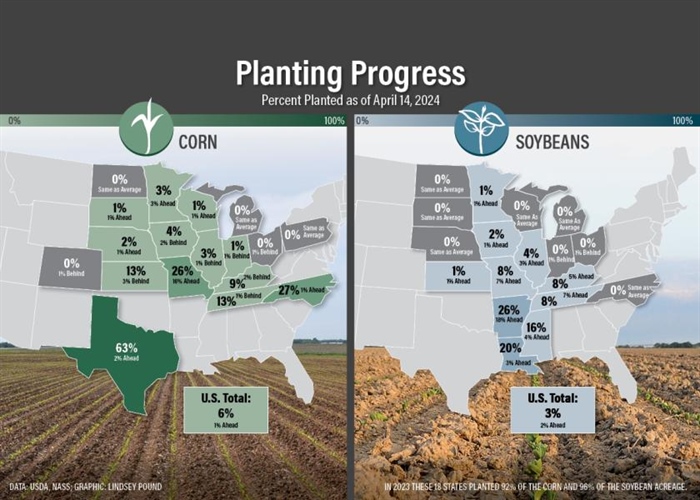 Planting Progress in 2024