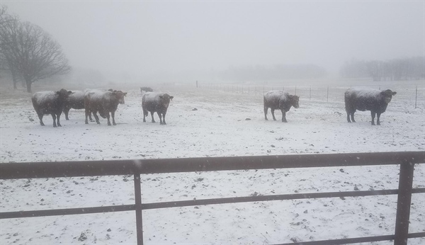 Major Impact From Winter Storms