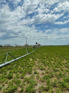 Photo Courtesy of Ron Barnett (MW Claims) - taken 7/8/2023